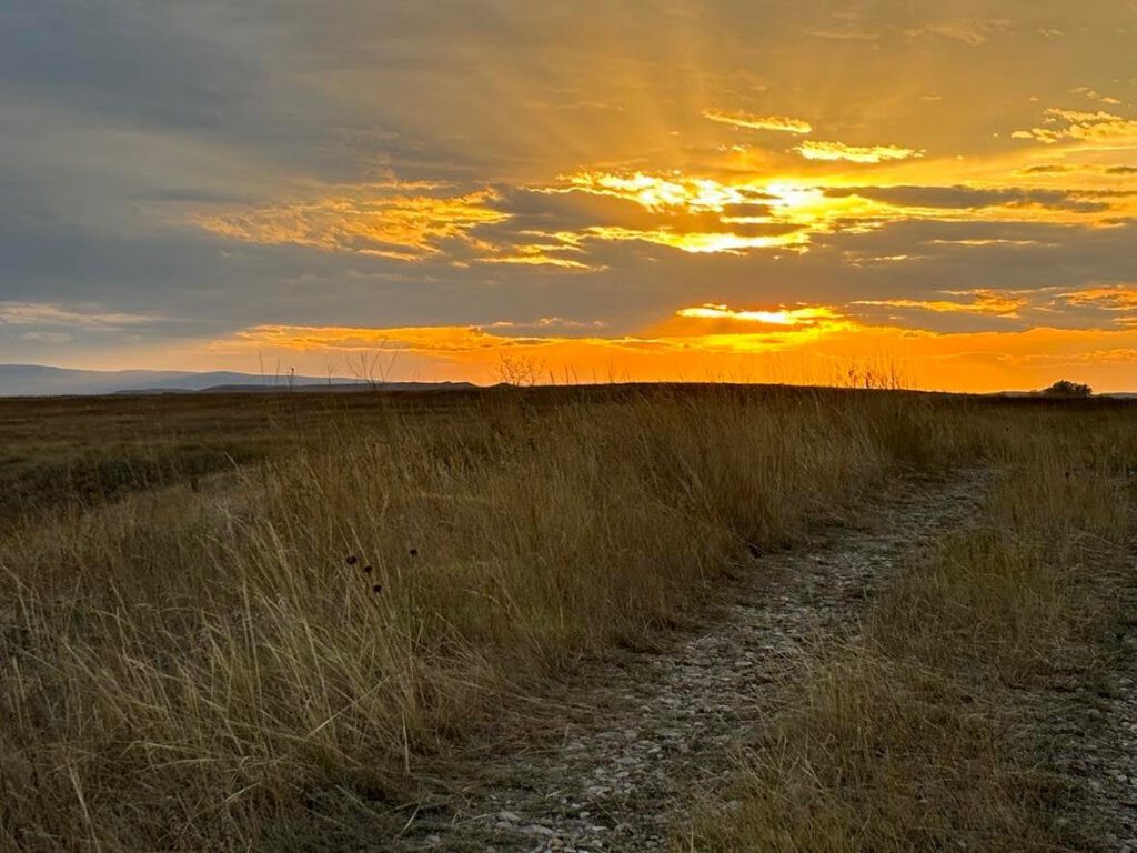 Page header image